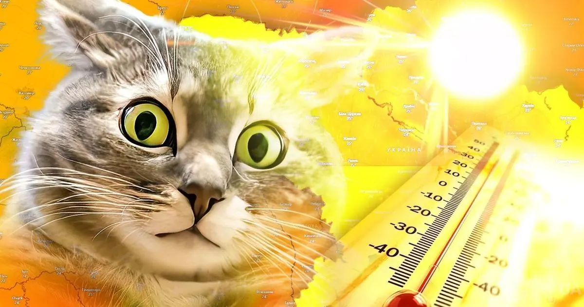 Серпень в Україні почнеться зі спеки до +38°C: прогноз синоптиків