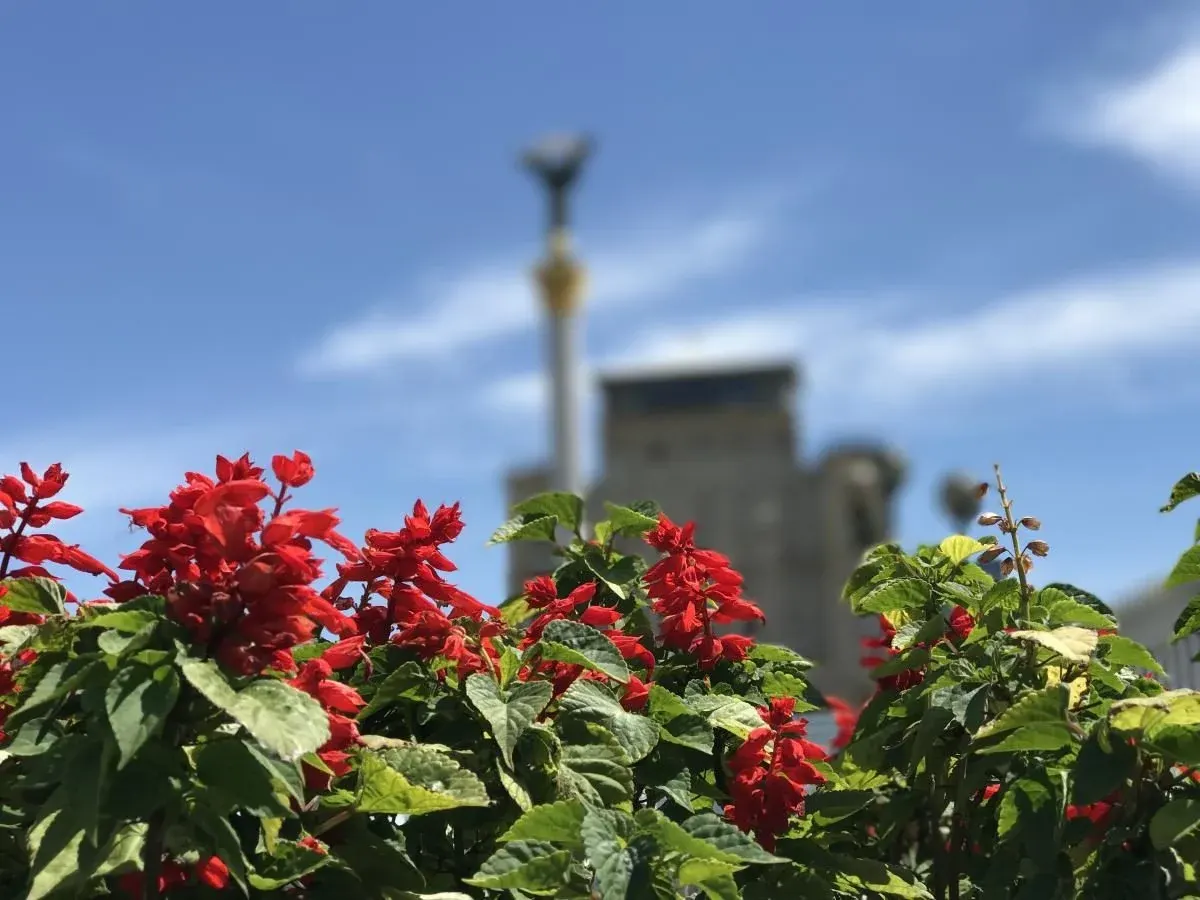 Від +30 до +15: синоптикиня Діденко розповіла, де в Україні ще тримається літо, а де вже осінь