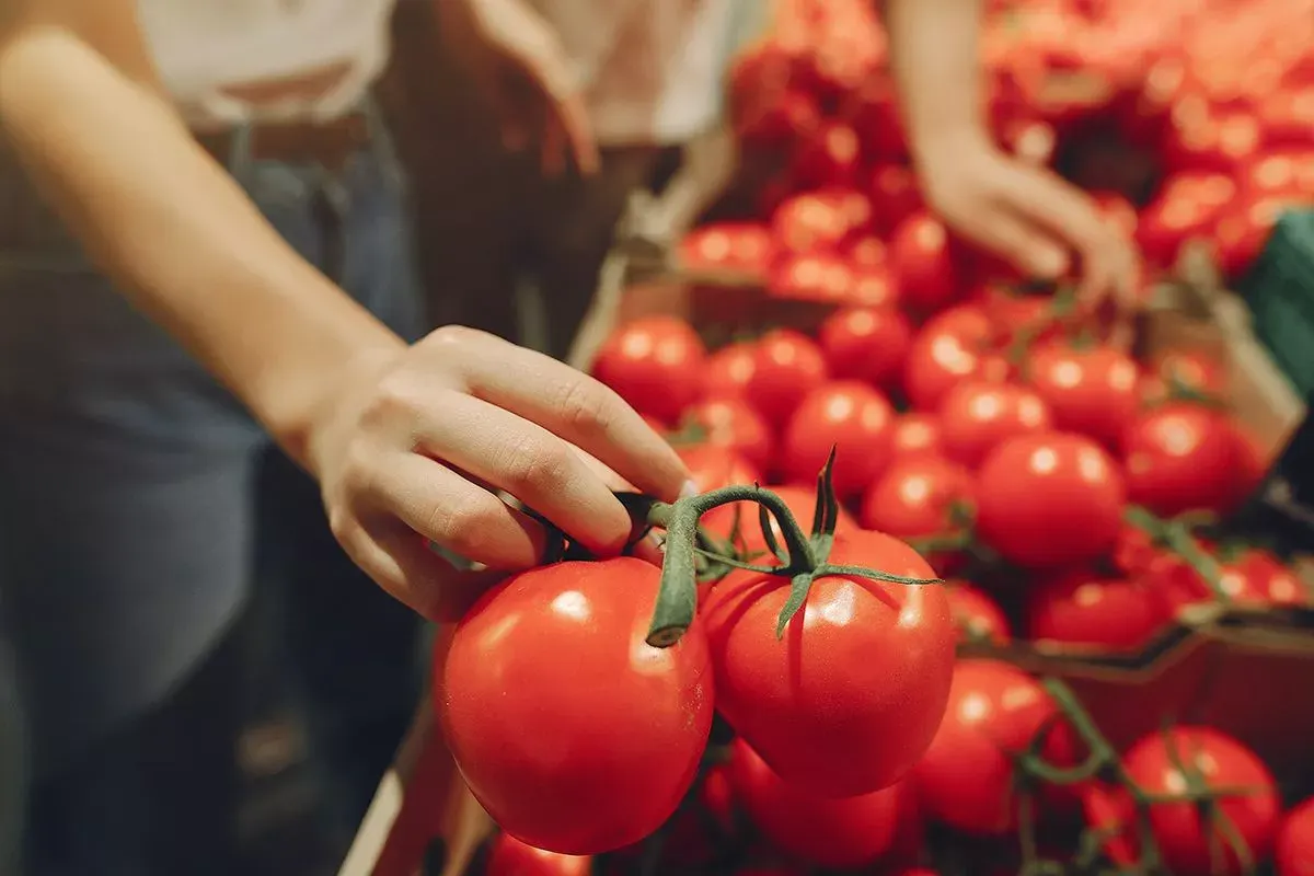 У США створили пристрій для домашньої перевірки продуктів на забруднення
